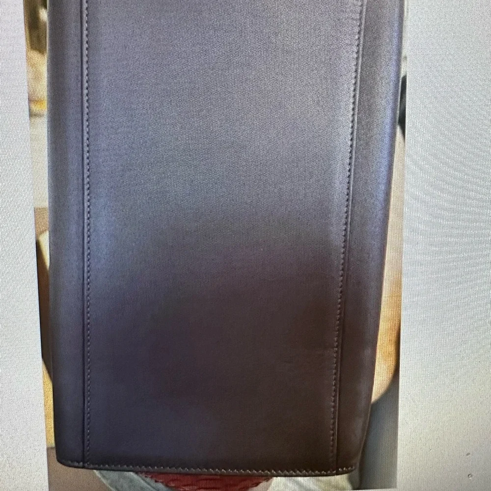 Celine Python Trapeze in Red, Burgundy, Brown, Like New - Picture 4 of 11
